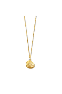  Georgina Shell Pendant Necklace