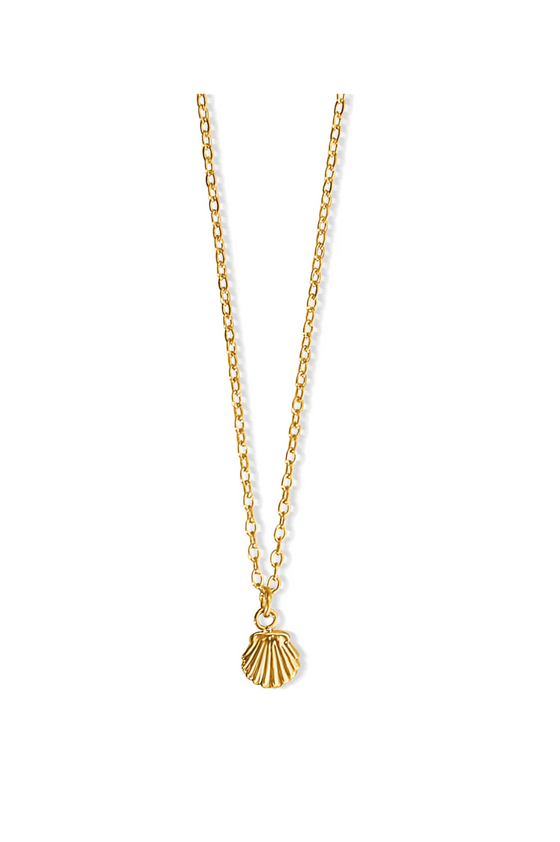 Tacha Mini Shell Necklace