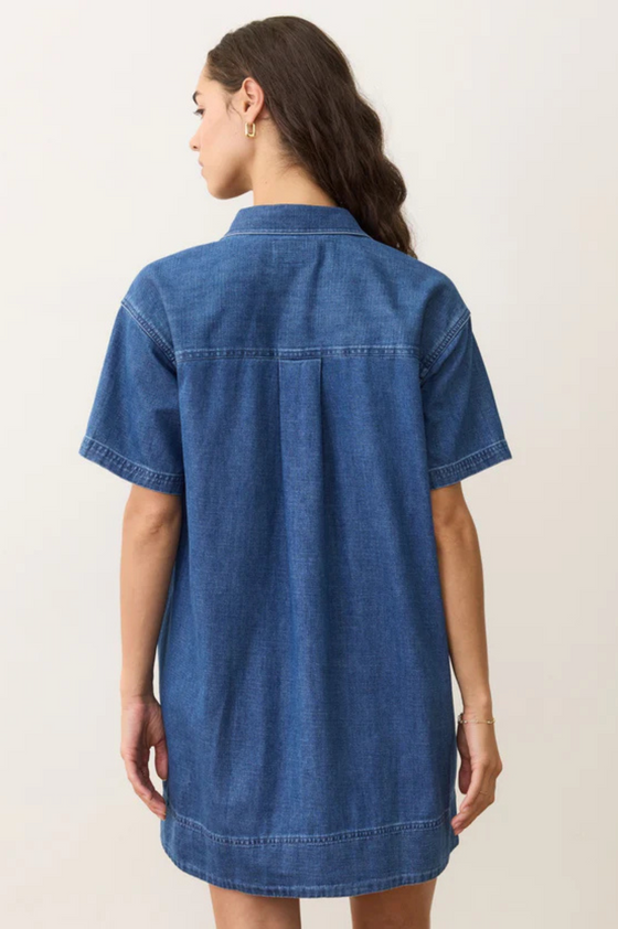 Liza Denim Mini Dress