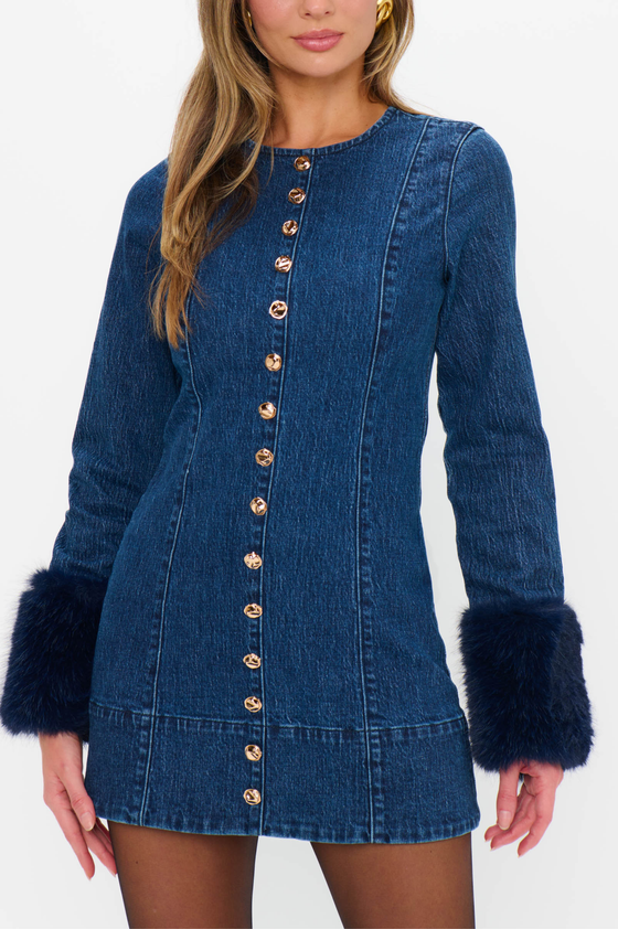 Rockefeller Mini Dress