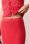 Amada Sweater Skirt